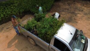 Imagem do WhatsApp de 2024-11-04 à(s) 16.09.14_0450caed