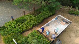 Imagem do WhatsApp de 2024-11-04 à(s) 16.09.15_170cd384