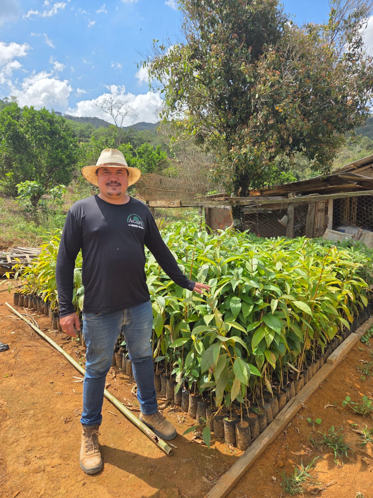 viveiro-de-mudas-nativas-agape